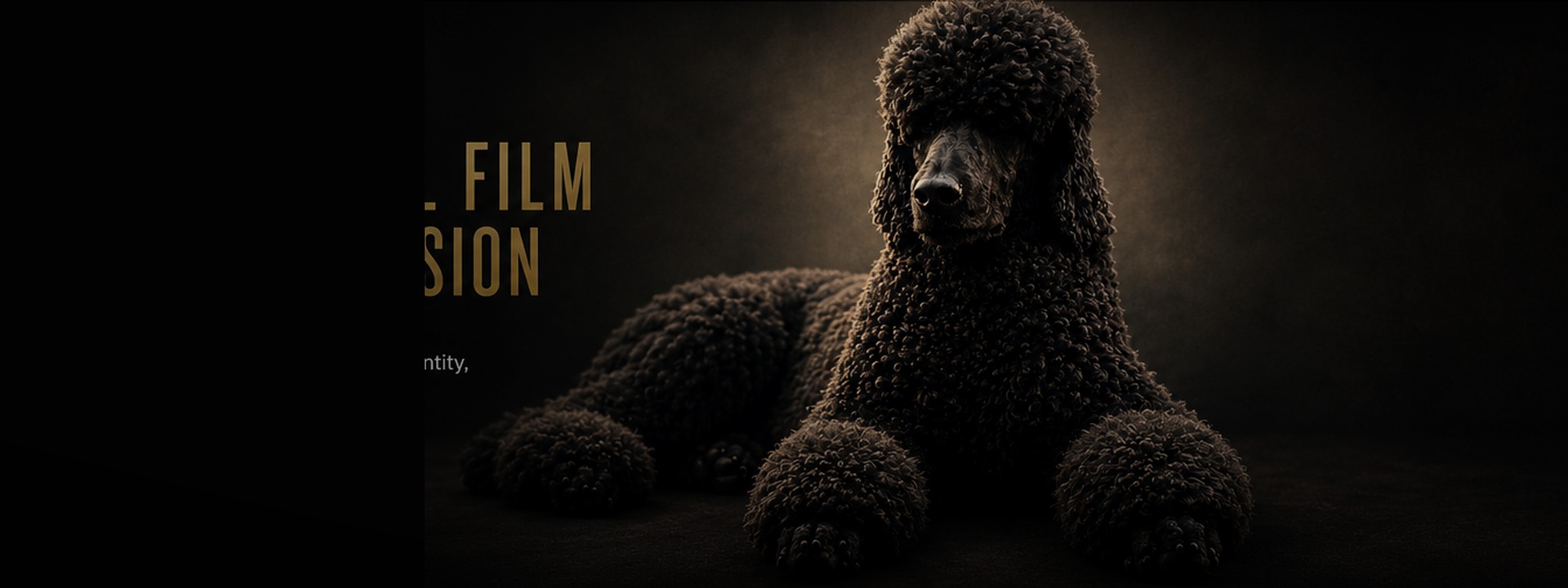 Black Dog Entertainment hero image featuring a black dog